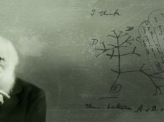 2007 Biyoloji Öğretim Programı Evrim diye bir ‘görüş’ varmış!