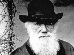 Türkiye’nin evrimle imtihanına kısa bir bakış