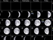 Şubat 2014 Gök Olayları