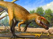 Avrupa’da Jura döneminin en büyük yırtıcı dinozoru bulundu