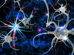 Aç-kapa hafıza: Hafıza nasıl silinir ve yeniden canlandırılır?