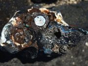 Hawai sahillerinde plastik taşlar bulundu