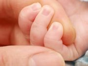 Turing’in matematiksel modeli parmakların biçimlenişini açıklıyor