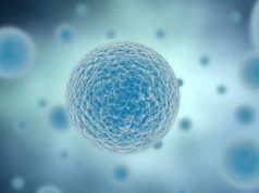 Yetişkin hücreleri kök hücreye dönüştürecek kokteyl