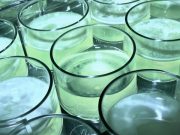 Milyar yıl süren evrim laboratuvarda 60 günde gerçekleştirildi: Tekhücrelilerden çokhücrelilere