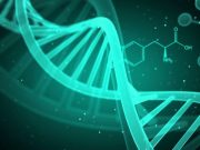 6. DNA bazı keşfedildi mi?