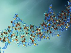 Soykırımdan kurtulanlar acılarını genlerle aktarıyor mu?