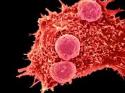 Çin – ABD biyomedikal düellosunda ilk hamle: CRISPR gen düzenleme ilk defa insan üzerinde test edildi