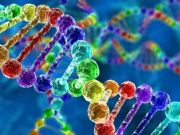 Gen aktarımlı virüsle kanser savaşı