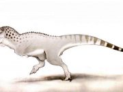 Son Afrika dinozoru Fas madenlerinde keşfedildi