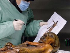 Buz Adam Ötzi aslında donarak mı öldü?
