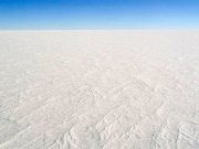 İlk hayvanların nasıl ortaya çıktığıyla ilgili kadim problem çözüldü
