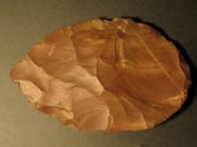 İnsanlığın şafağı: Neandertal-Homo sapiens geçişi
