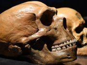 Saç ve cilt tonumuzu Neandertallerden miras aldığımız genler belirliyor!