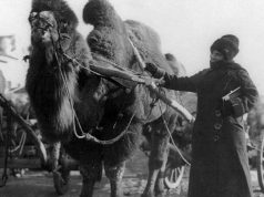 Kadın Coğrafyacılar Topluluğu’nun ilk başkanı: Harriet Chalmers Adams