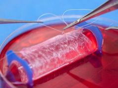 Doku mühendisliği: Geleceğin tedavi yöntemi olabilir mi?