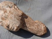 Kraliçe II. Ankhnespepy’e ait heykelin başı keşfedildi