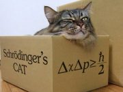 Schrödinger’in kedisi gerçekten hem ölü hem de canlı!