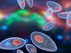 Bir parazit davranışlarımızı yönetiyor olabilir mi?