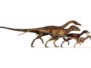 Dinozor kolları kuş kanatlarına nasıl dönüştü?