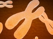 İnsanın genetik tarihinde kadınlar baskın!