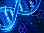 Gen sayıları ve DNA büyüklükleri evrimi çürütüyor mu?