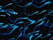Fosillerden dev sperm çıktı