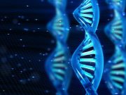 Akıllı tasarım gerçek oldu: DNA alfabesi genişletilmiş ilk yarı-sentetik canlı üretildi