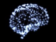 Yeni beyin hücreleri eski anıları siliyor!