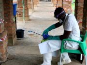 Deneysel Ebola aşısı son salgınla başa çıkabilecek mi?
