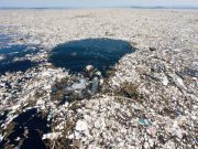 Modern hayatın en yaygın parçası plastik, iklim değişikliğine katkıda bulunuyor!