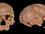 Bilinen en eski ‘Homo sapiens’ fosilleri Fas’ta keşfedildi