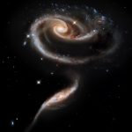 arp