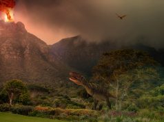 Evrim sürecinde yaşanan 5 kitlesel yok oluş