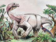 Ledumahadi mafube: Güney Afrika’nın yeni jurassic devi