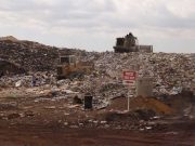 Döngüsel Ekonomi: Antik Toplumlar Atıkların Geri Dönüştürülmesi Fikrine Öncülük Etti