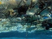 Plastik zamanlar: Plastik yiyoruz, plastik içiyoruz, plastik soluyoruz