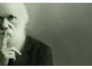 Evrimci-yaratılışçı İslam düşüncesinin Darwin’in evrim kuramıyla hiçbir ilgisi yok
