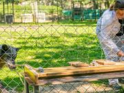 Modern hayatta köpeklerimiz de bizler gibi huysuz, tahammülsüz