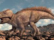 Dinozorlarda iki ayaklılıktan dört ayaklılığa geçiş!