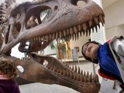 T. Rex’lerin kafalarında “klima” olduğu öne sürüldü