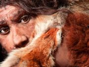 Neandertal’ler konuşabiliyor muydu?