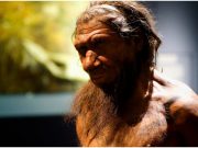 Cesur kâşifler: Neandertaller, Asya kıtasına doğru iki ayrı göç gerçekleştirmiş
