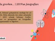 Galaksiler, mikroorganizmalar ve diğerleri: 2019’un fotoğrafları
