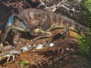 Avustralya’da bir bebek dinozora ait kemik fosili bulundu