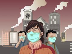 Korona krizinden iklim krizine karmaşık sistemler ve toplum dinamikleri