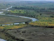 Karasal alan kullanım yoğunluğu 20. yüzyılda iki katına çıktı