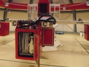 Yerçekimsiz ortamda bitkilerdeki cinsellik