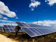 Güneş enerjisiyle elektrik üretiminde atılım: Yosunlardan bile elektrik üretimi