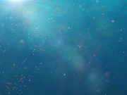 Deniz tabanındaki en yüksek mikroplastik seviyesi raporlandı